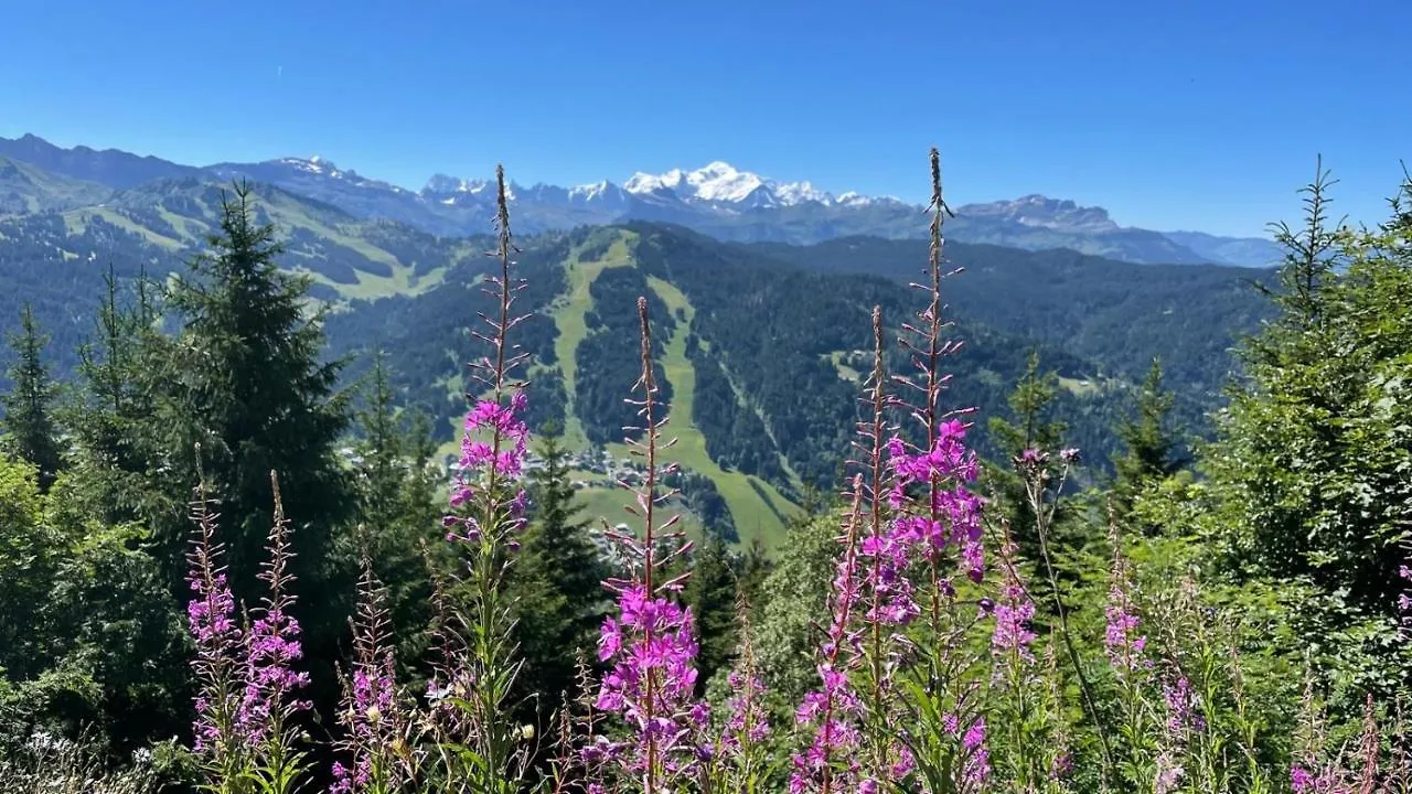 Appartement L'OURALOU - Vue panoramique à Les Gets 0*,  France